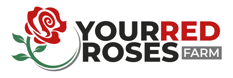 yourredroses.com