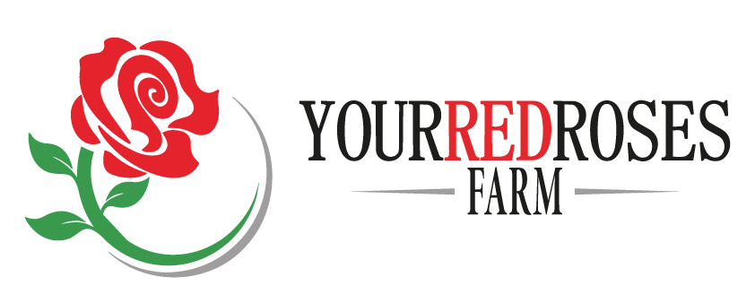 yourredroses.com